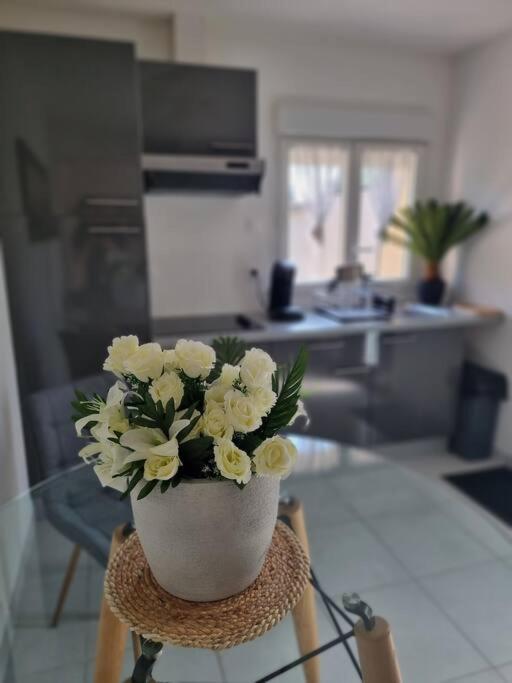 Maison Cosy Aux Portes De Tours Saint-Pierre-des-Corps Ngoại thất bức ảnh